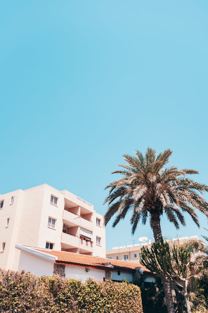 Low angle view of Mediterranean building and palm tree against clear blue sky.